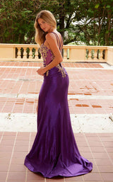 Nox Anabel C1613 Plum/Gold