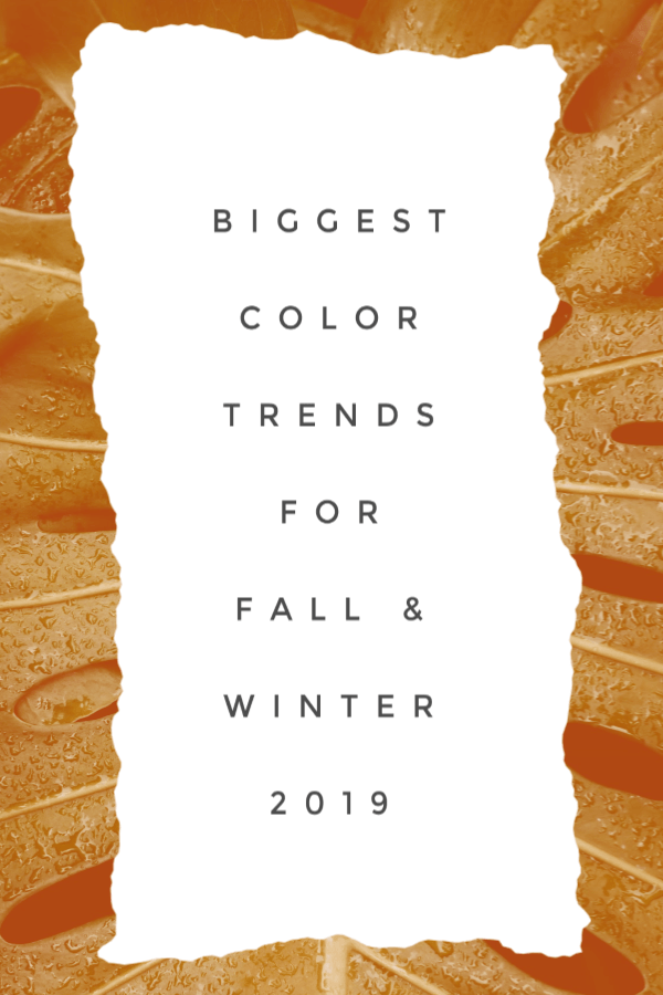 Biggest Color Trends for Fall Winter 2019