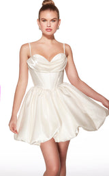 Alyce 30012 Dress