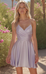 Alyce 30018 Dress