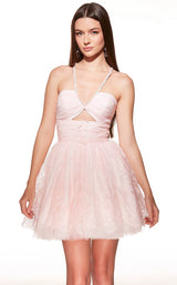 Alyce 30030 Dress
