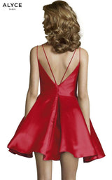 Alyce 3764 Dress