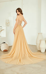 Amelia Couture SU091 Champagne
