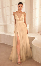 Amoris SE005P Champagne