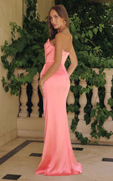 Amoris T820 Coral