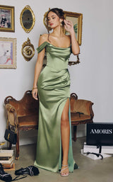 Amoris T820 Dark Sage