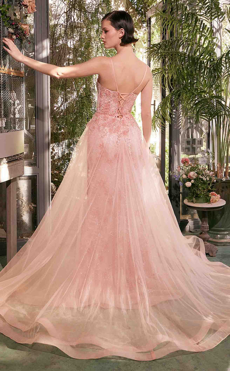 Andrea and Leo A1382 Blush