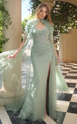 Andrea and Leo A1494 Sage