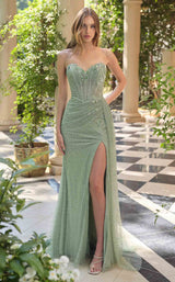 Andrea and Leo A1494 Sage