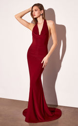 Astee T501P Burgundy