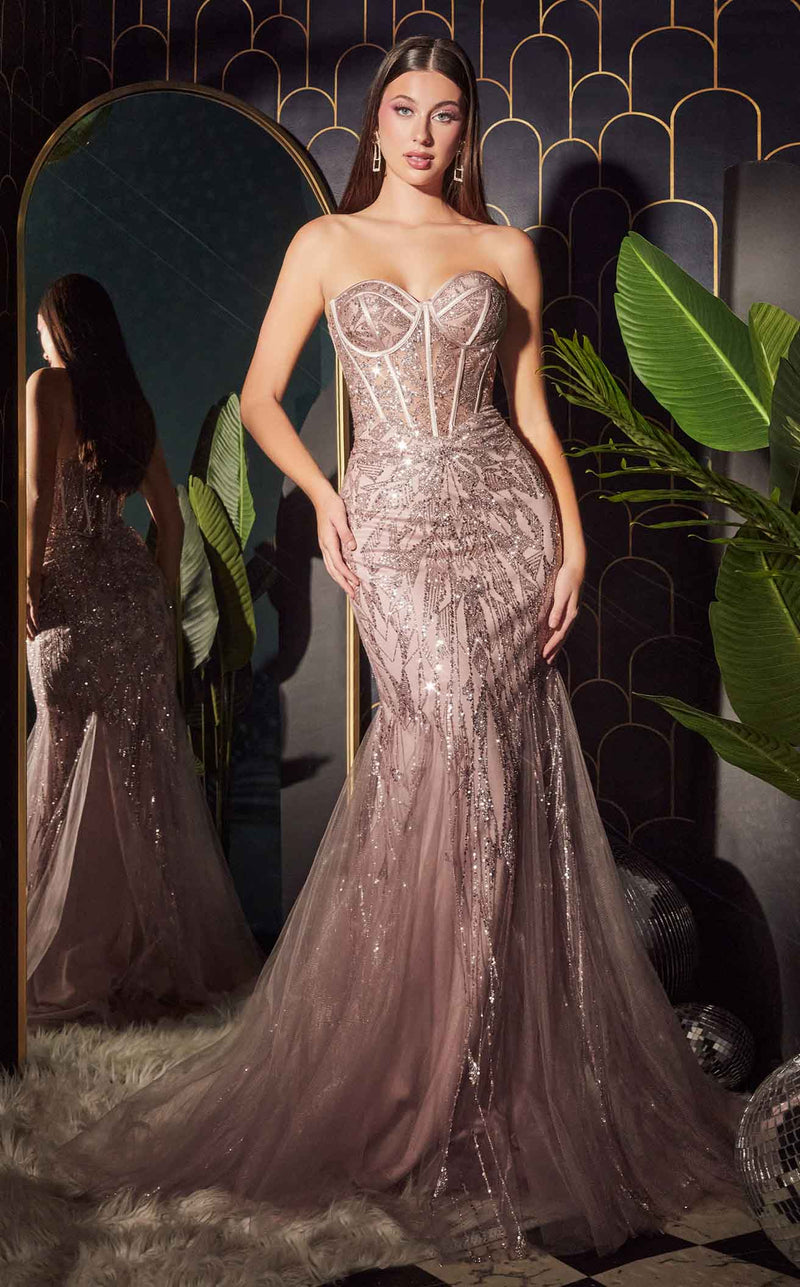 ace prom dresses Purple Tulle Ace Long Prom Dress Evening Dress