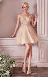 Cinderella Divine CD0190 Champagne