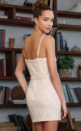 Chandelier 70124 Blush Pearl