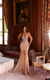 Chic and Holland AZ990094 Nude