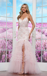 Colors Dress 3465 Blush