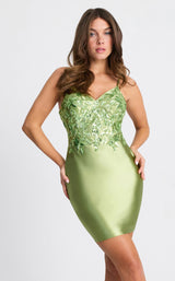 Faviana 11310 Sage