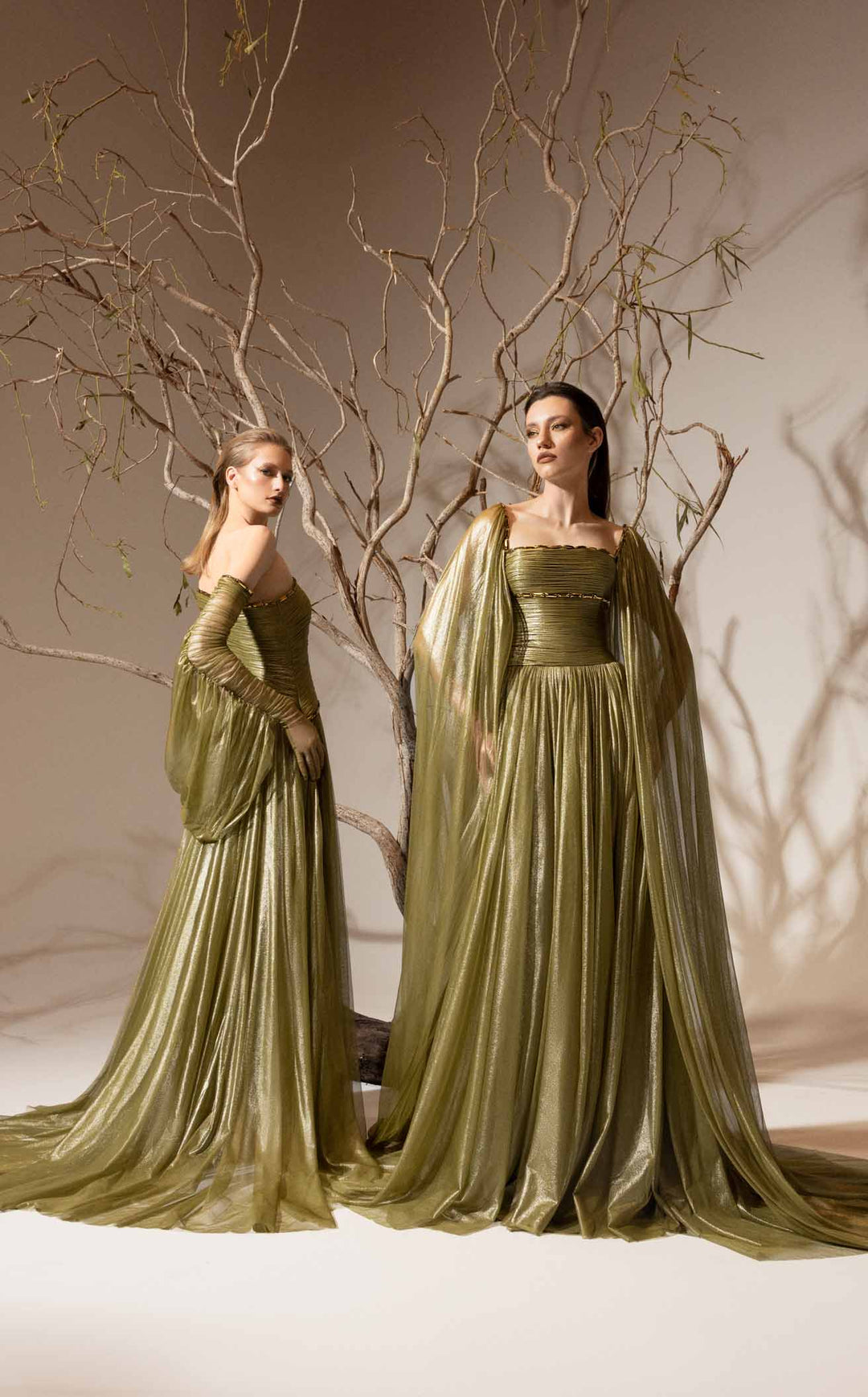 Jean Louis Sabaji 6001525 Olive