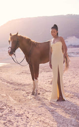 Jean Louis Sabaji 6001617 Dress