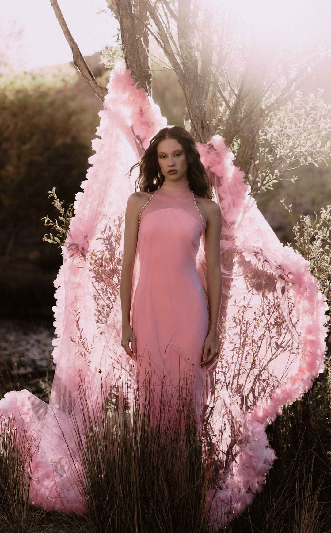 Jean Louis Sabaji 6001726 Blush