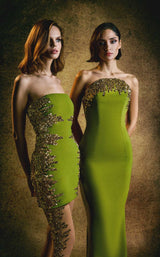Jean Louis Sabaji 6001824 Moss