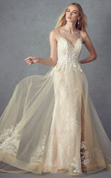 Juliet 249 Champagne