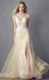Juliet 249 Champagne