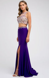 Juliet 595 Purple