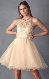 Juliet 826 Champagne