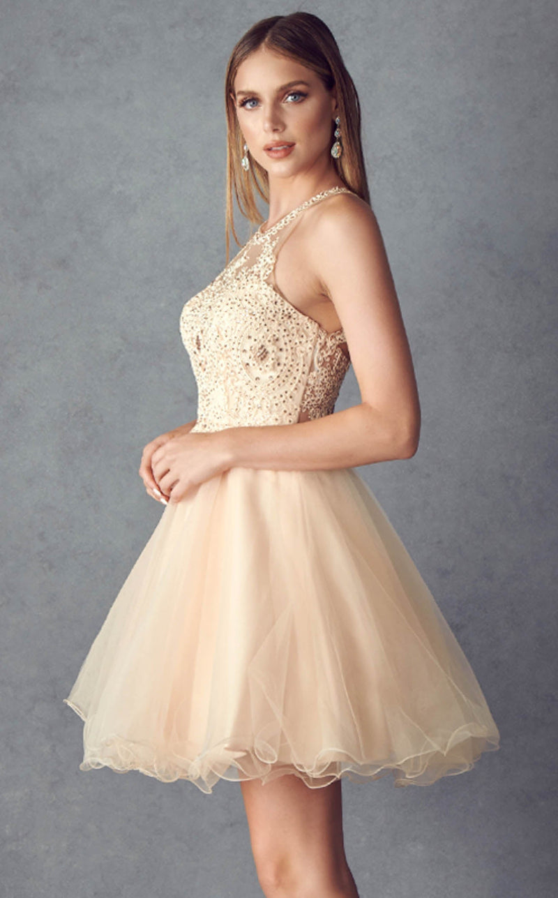 Juliet 826 Champagne