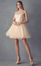 Juliet 826 Champagne