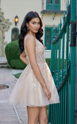 Juliet JT987N Champagne