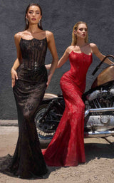 Ladivine CB162 Black-Nude