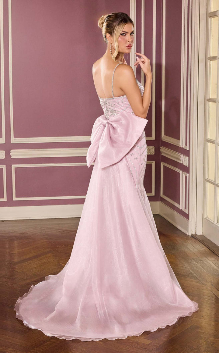 Ladivine CB167 Mauve