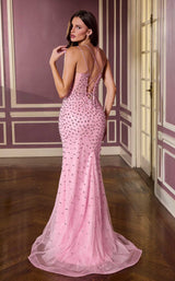 Ladivine CC3902 Pink