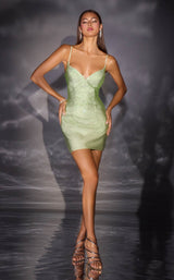 Ladivine CD2424 Sage