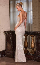 Ladivine CD396 Platinum