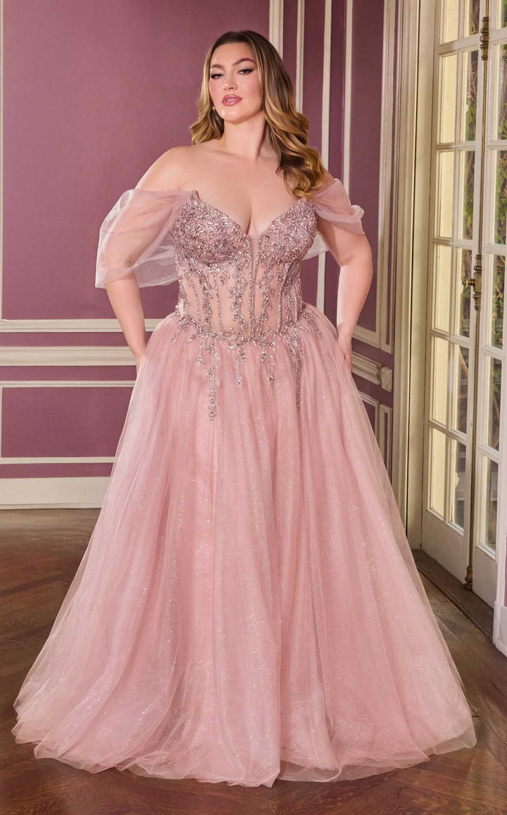 Ladivine CD721C Mauve