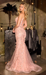 Ladivine CT264 Dusty Pink