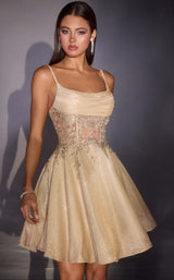 Ladivine KV1152 Champagne