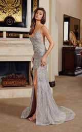 Nox Anabel C1834 Silver/Nude