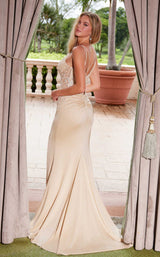 Nox Anabel H1683 Champagne