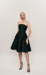 Park 108 M659 Black