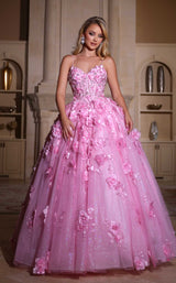Portia and Scarlett PS25360P Pink