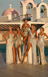 Portia and Scarlett PS26403C Nude-Silver-Gold