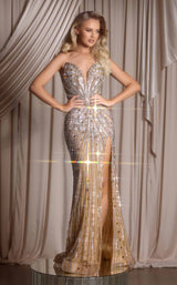 Portia and Scarlett PS26409C Nude-Silver-Gold