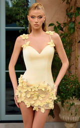 Portia and Scarlett PS26738 Yellow