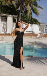 Primavera Couture 4310 Black