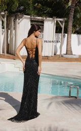 Primavera Couture 4310 Black