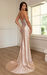 Rachel Allan 70714 Champagne