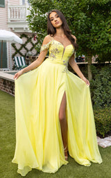 Rachel Allan 70951 Dress
